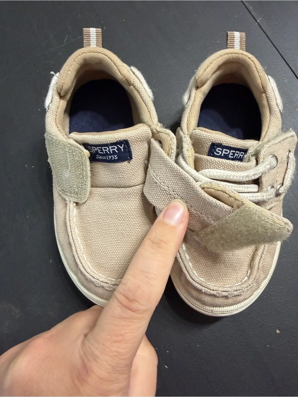 Sperry Kids Tan Canvas Boat Sneakers